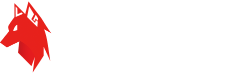 wwjy
